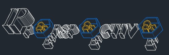 IP PERSPECTIVE SLIDE SHOW