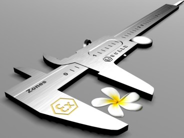 Ex selection process